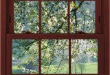 Window Illusion Murals Cherry Blossoms 1 Of 3 Faux Window Illusion