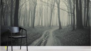 Winter forest Wall Mural Black and White forest Path Mural