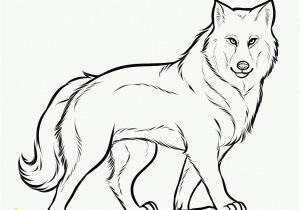 Wolf Coloring Pages to Print Out Free Printable Wolf Coloring Pages for Kids with Images