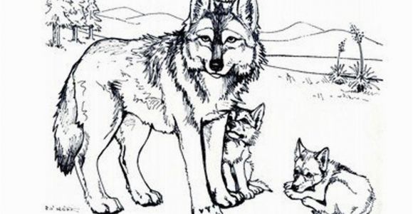 Wolf Coloring Pages to Print Out Print & Download Wolf Coloring Pages theme