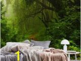 Woodland Wallpaper Murals 233 Best forest Wall Murals Images In 2019