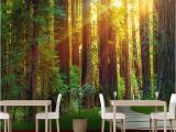 Woodland Wallpaper Murals 3d Custom Mural Wallpaper Wall Painting Sunny forest Graphy