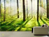 Woodland Wallpaper Murals Morning forest Fog Wall Mural Picture Wall Paper Repositionable