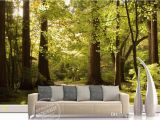 Woodland Wallpaper Murals Mural 3d Wallpaper Big Tree Sunny Background Wall Customized