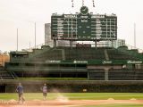 Wrigley Field Ivy Wall Mural Schedule Archives 4bases4kids