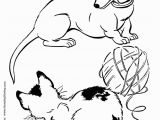 Year Of the Dog Coloring Pages Dachshund Dog Coloring Page