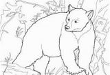 Yogi Bear Coloring Pages Printable Free Coloring Pages Of All sorts