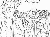 Zacchaeus In the Bible Coloring Page 為孩子們的著色頁 God Jesus Calls Zacchaeus Coloring Pages